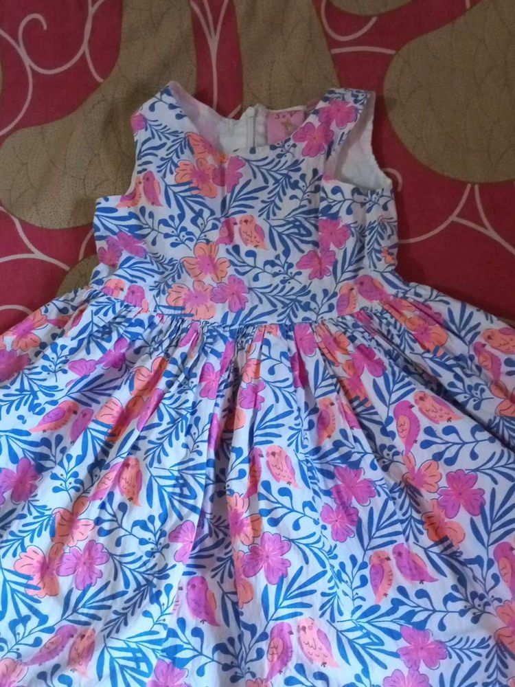 Girls Dresses