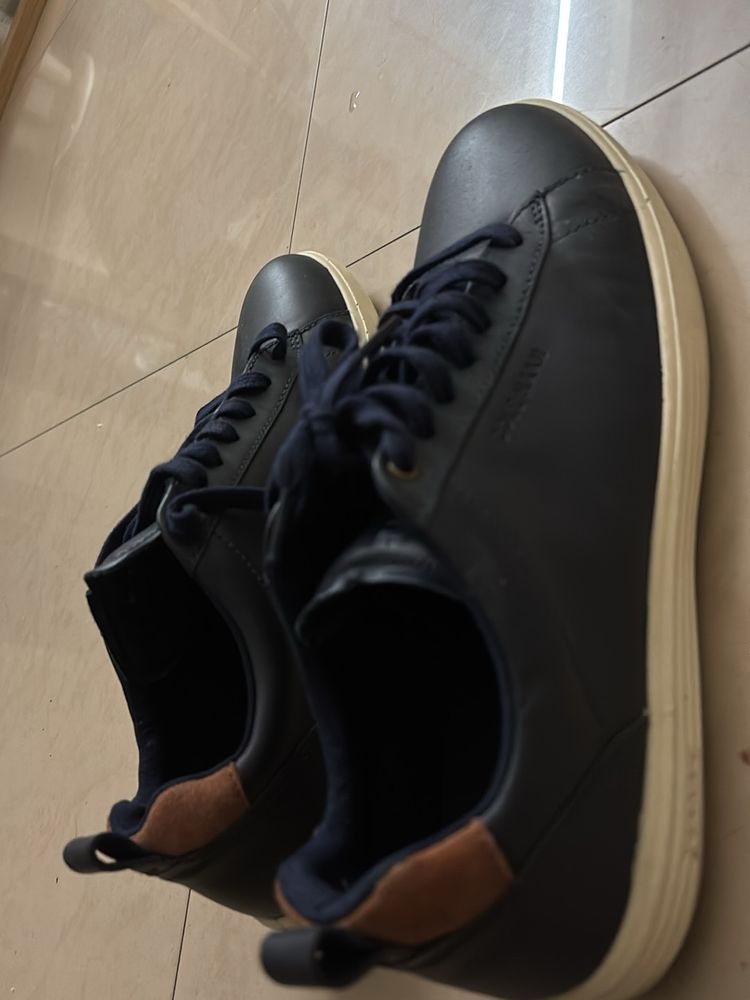 Beautiful premium Cole Haan Sneakers.