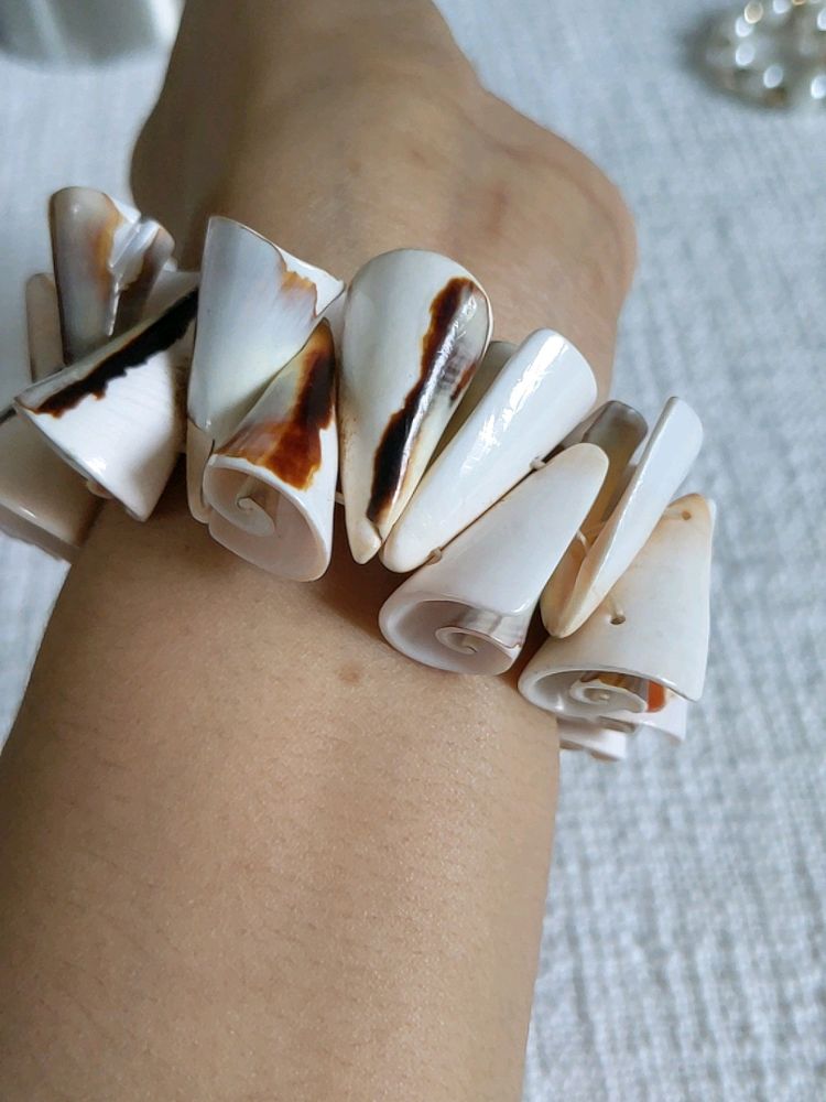 Shell Bracelet From Kanyakumari