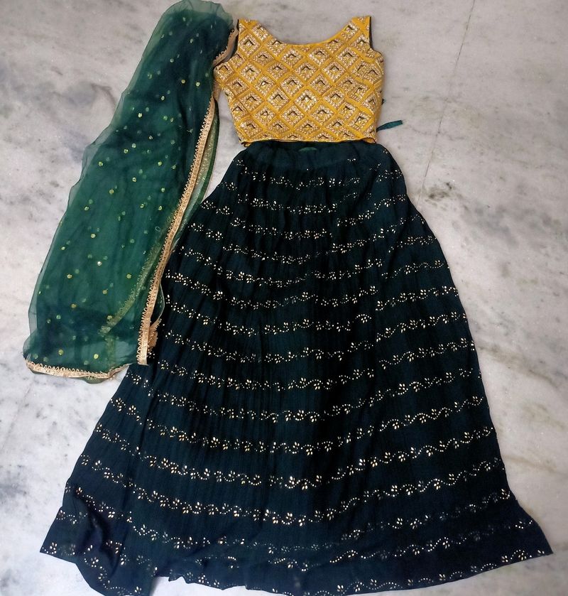 Beautiful Lehenga Choli