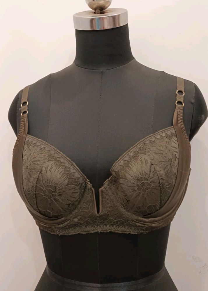 Branded Padded Bra 38B