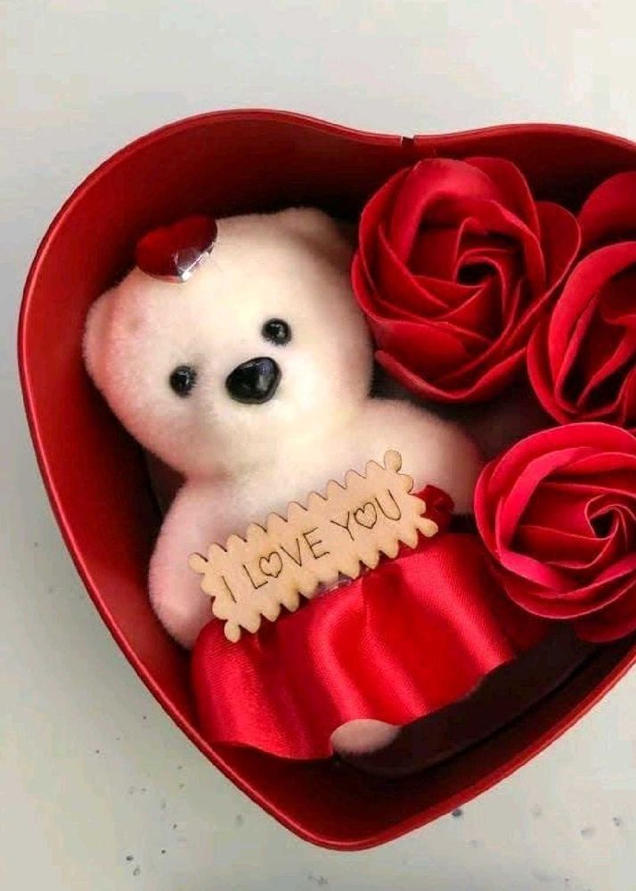 Teddy Bear Love  Tina Box