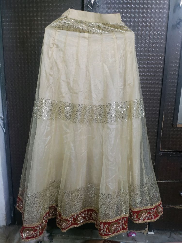 Beautiful Lehnga Choli