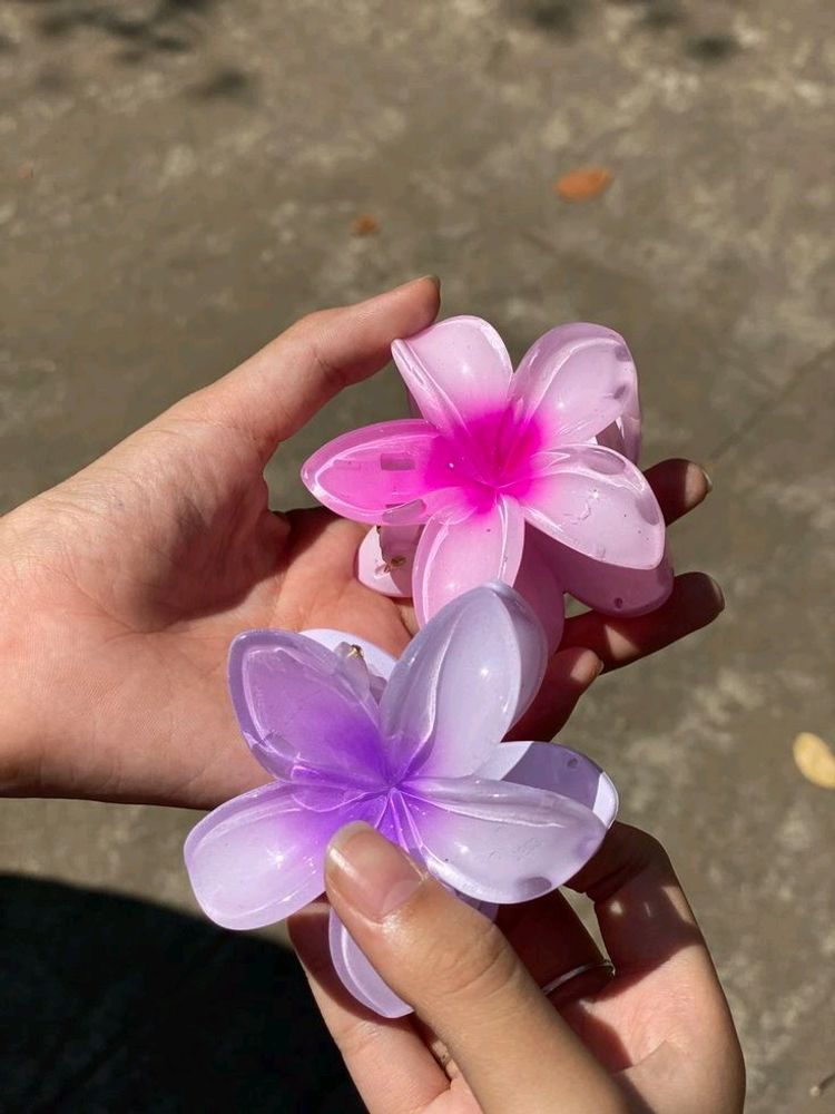 Flower Clips