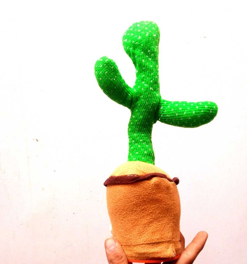 Cactus Toy