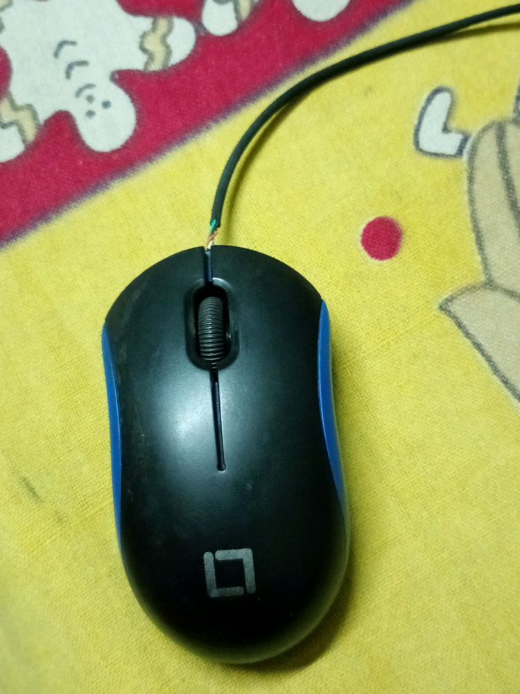 Mouse