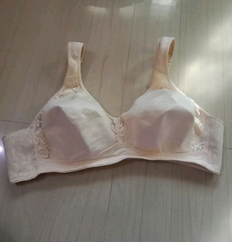 40B Bra Plus Size