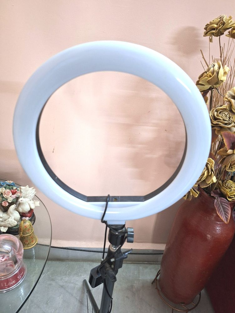 Ring Light With 7 Feet Tripod For Photo & Video.