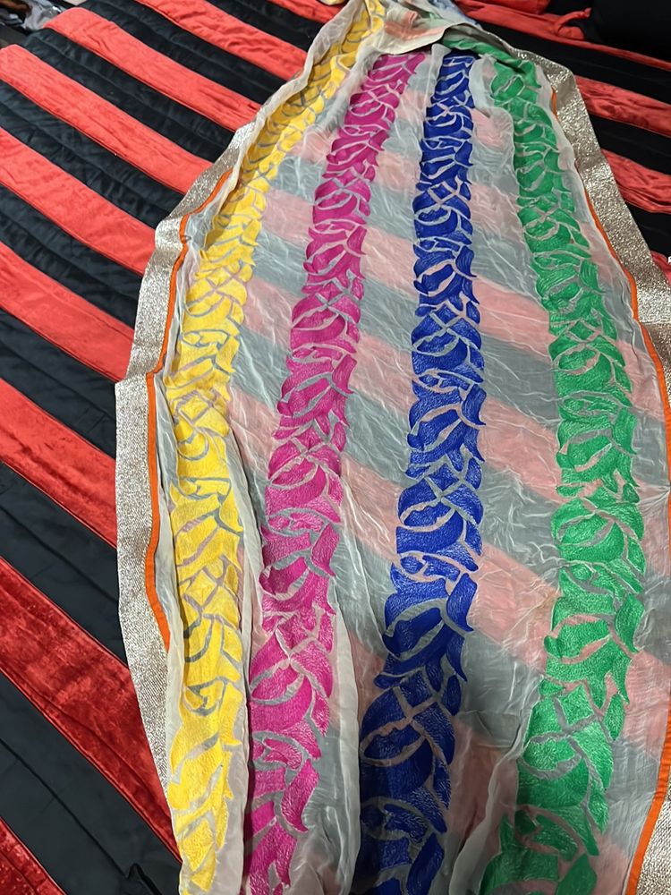 Multicolour Chunni/Dupatta