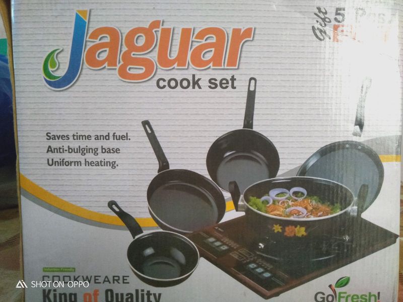 Induction Cooker Surya Company Best Spark & Blaze