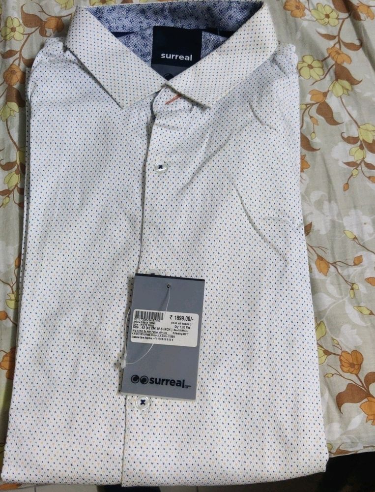 Brand New shirt with tag