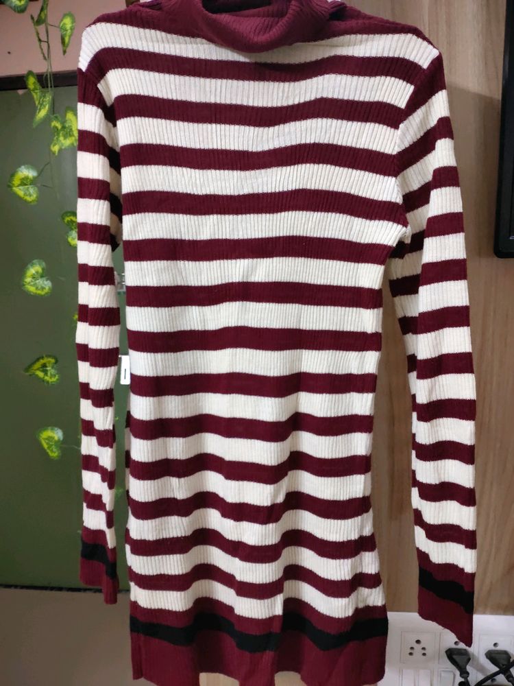 Turtle High neck Striped Sweater