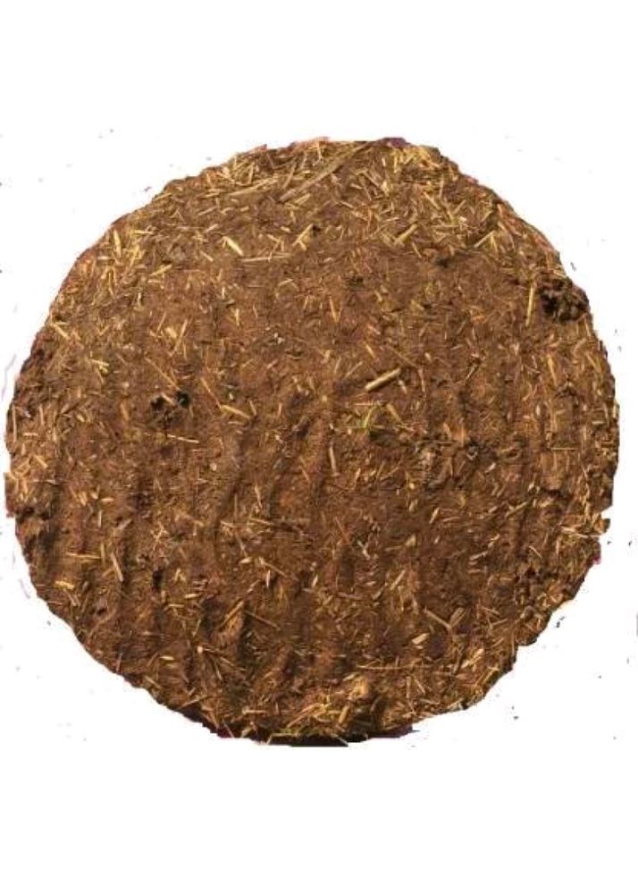 Cow Dung Cake