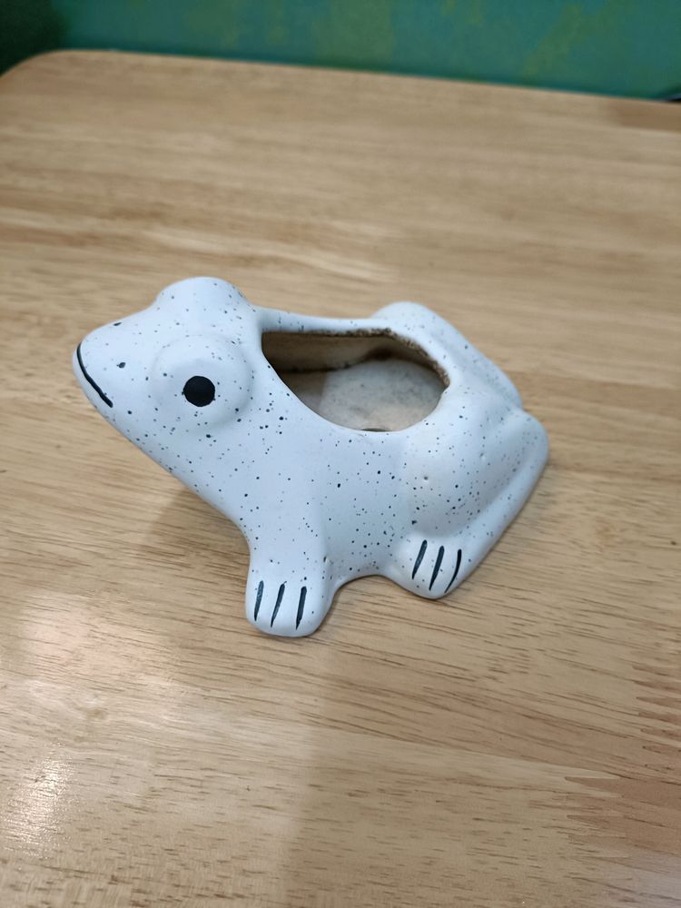 Frog Planter With Hole On Bottom