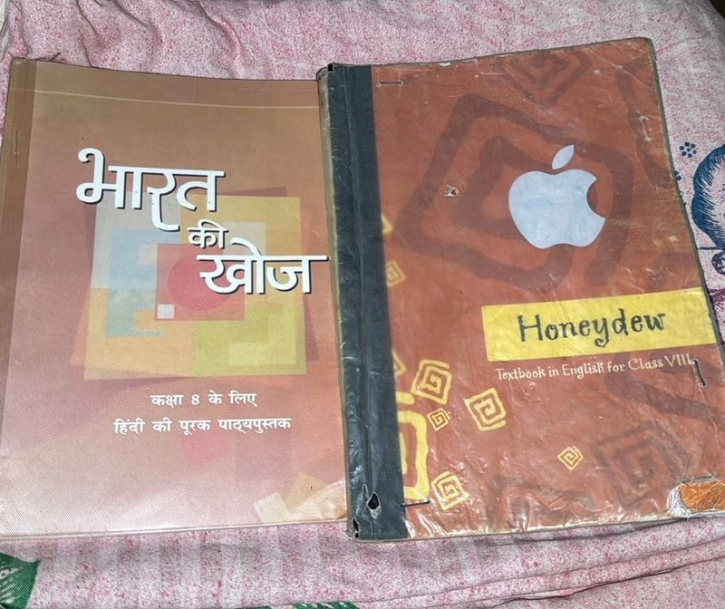 CLASS 8 Hindi And English NCERT Books