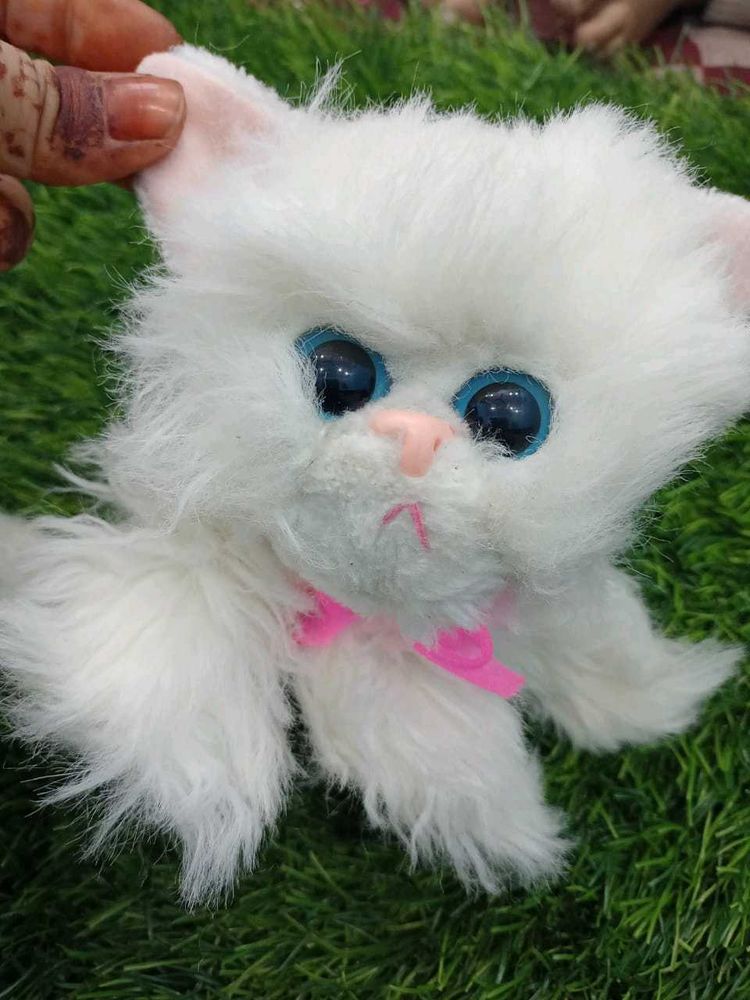 Cat Cuite Soft Toy