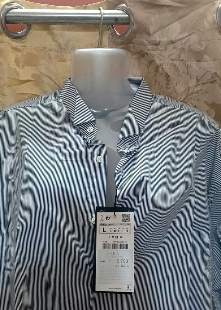 Authentic Zara Wing Collar