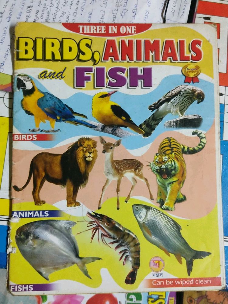 Kids Book