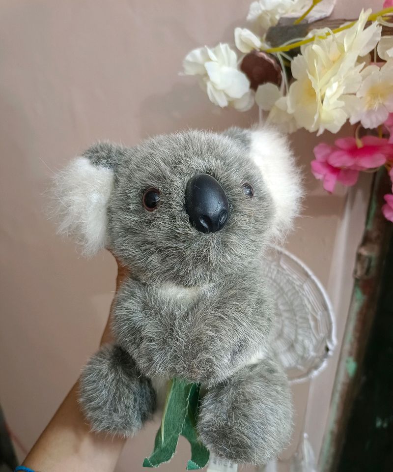 Cute Koala Soft Toy (Imported)🐨♥️