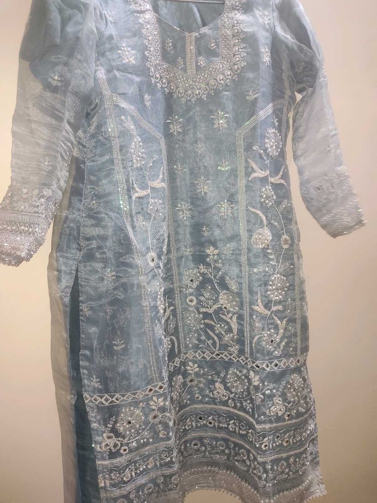 New Organza Pakistani Suit