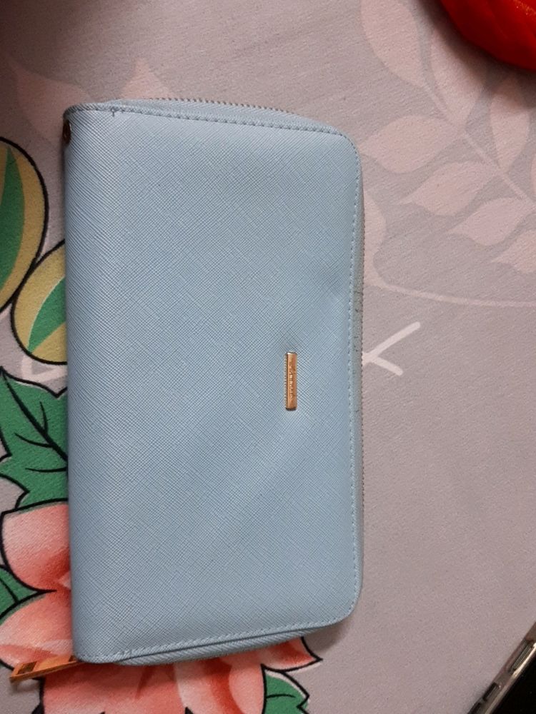Beautiful Pastel Blue Wallet For Women