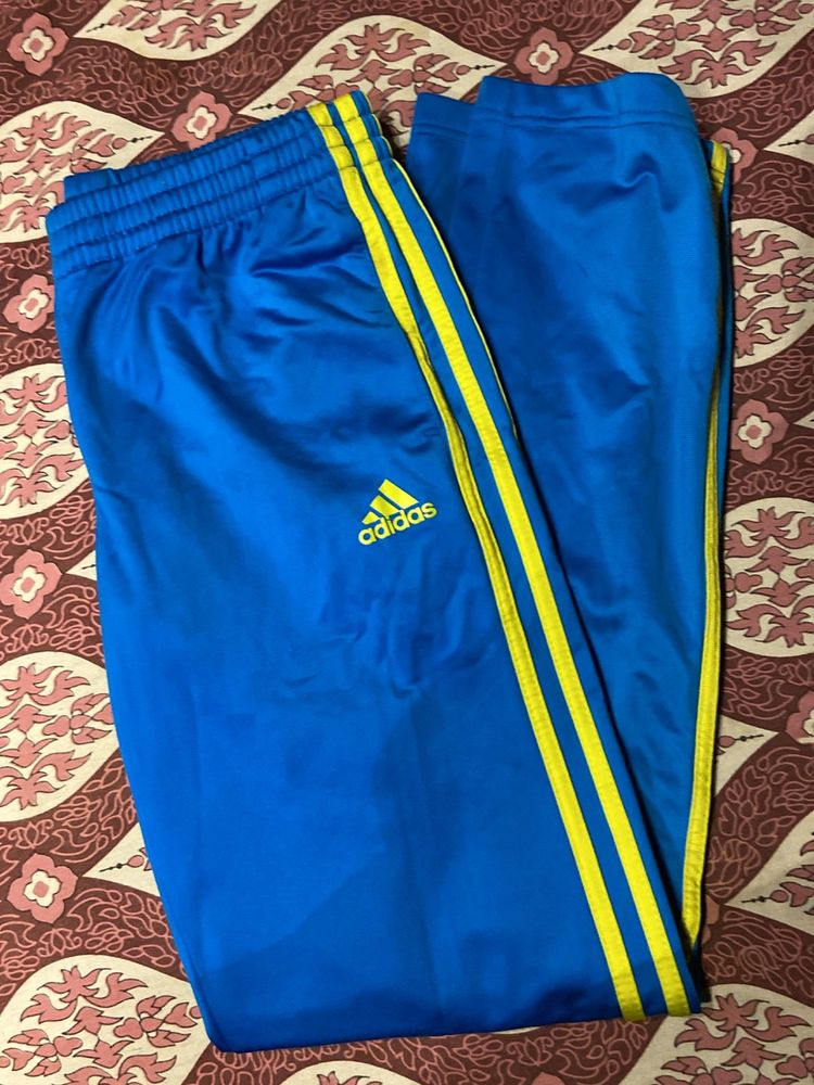 Blue Track Pants / Casual wear