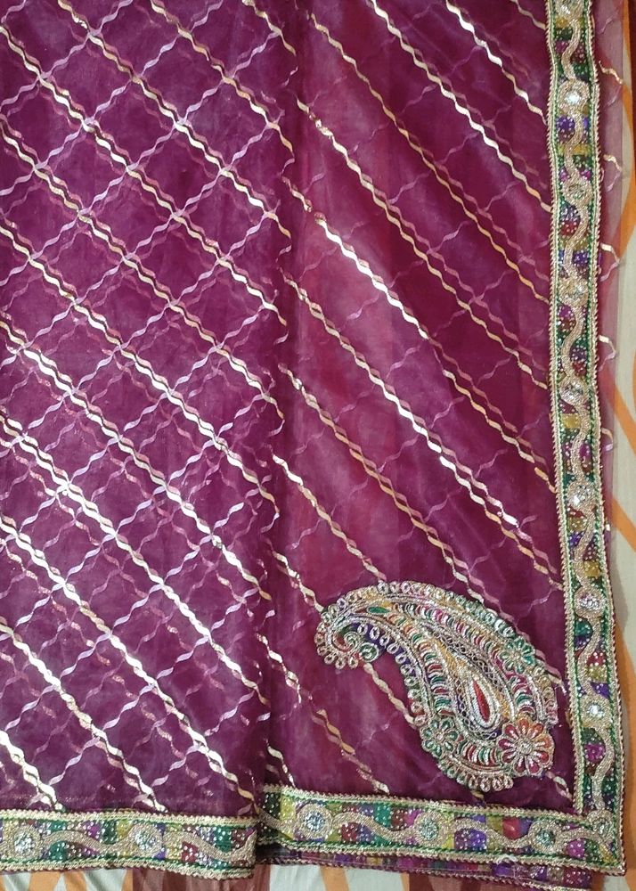 Beautiful Net Saree