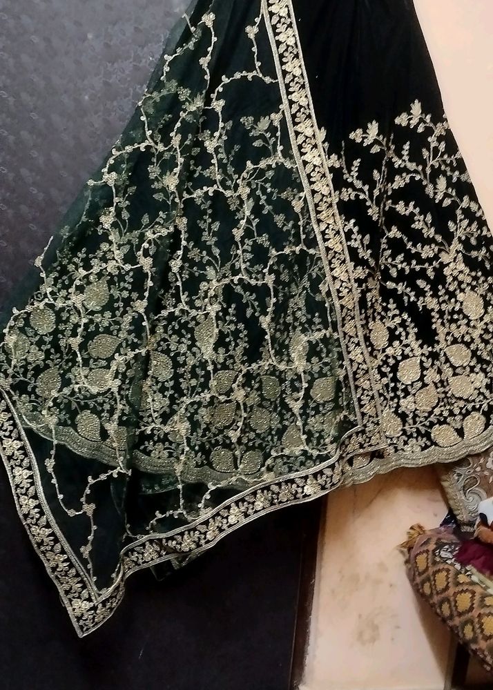 Frog Type Lehenga