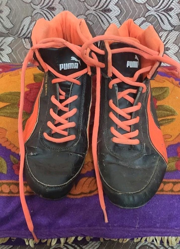 PUMA shoes-a small scrach pic shown