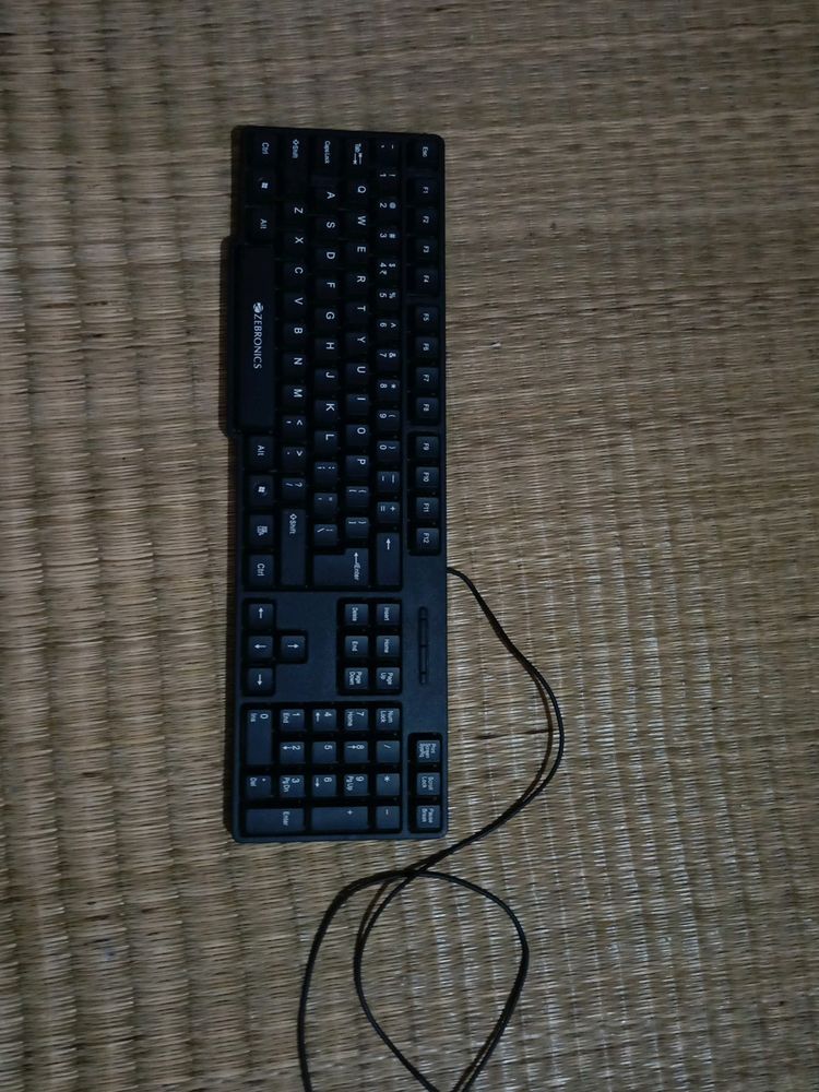 Zebronics  Full Working Condition Keyboard