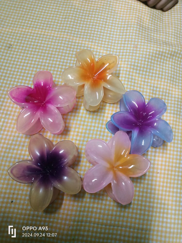 Set Of 5 Flower Hair Cluther