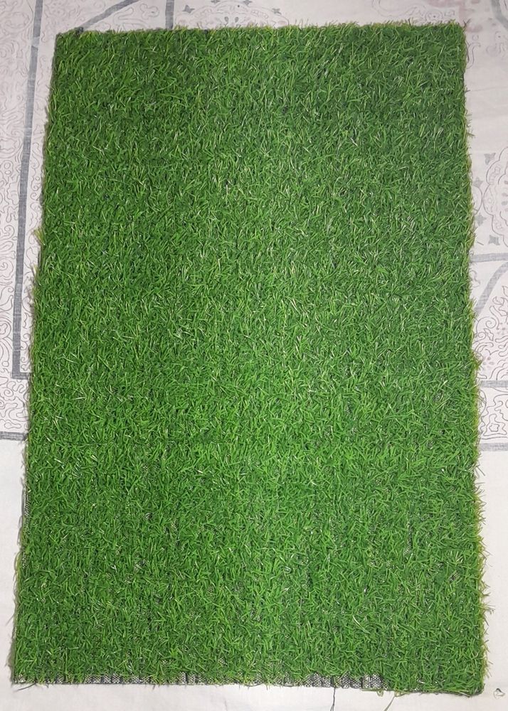 Grass Door Mat