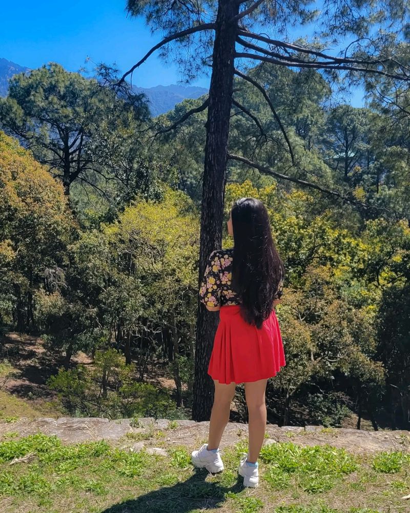 Red Mini Skirt