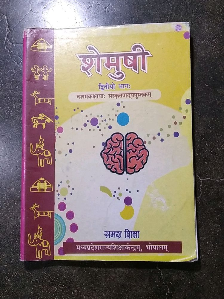 Class 10 Sanskrit Book