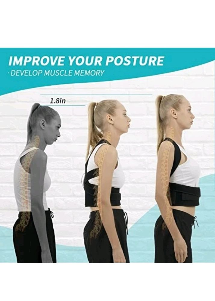 Posture Correction Belt