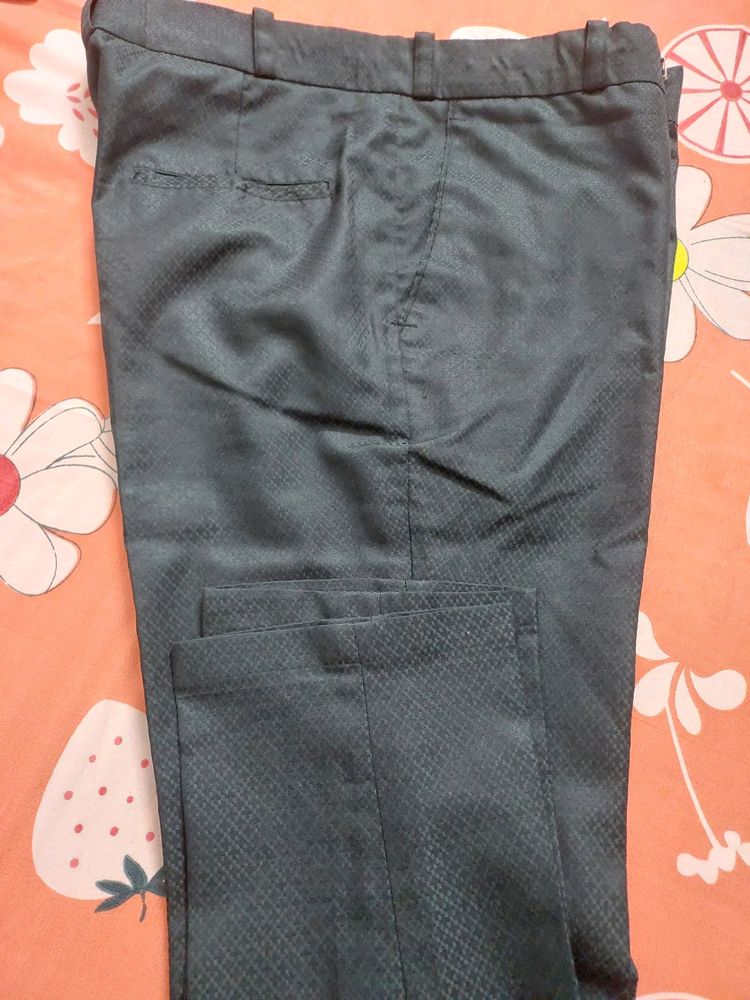 Shiny Fabrics Formal Pant For Men