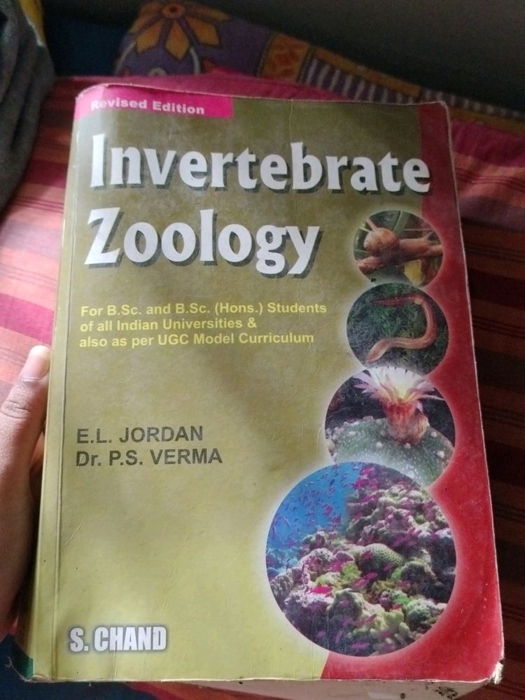 Invertebrates Zoology