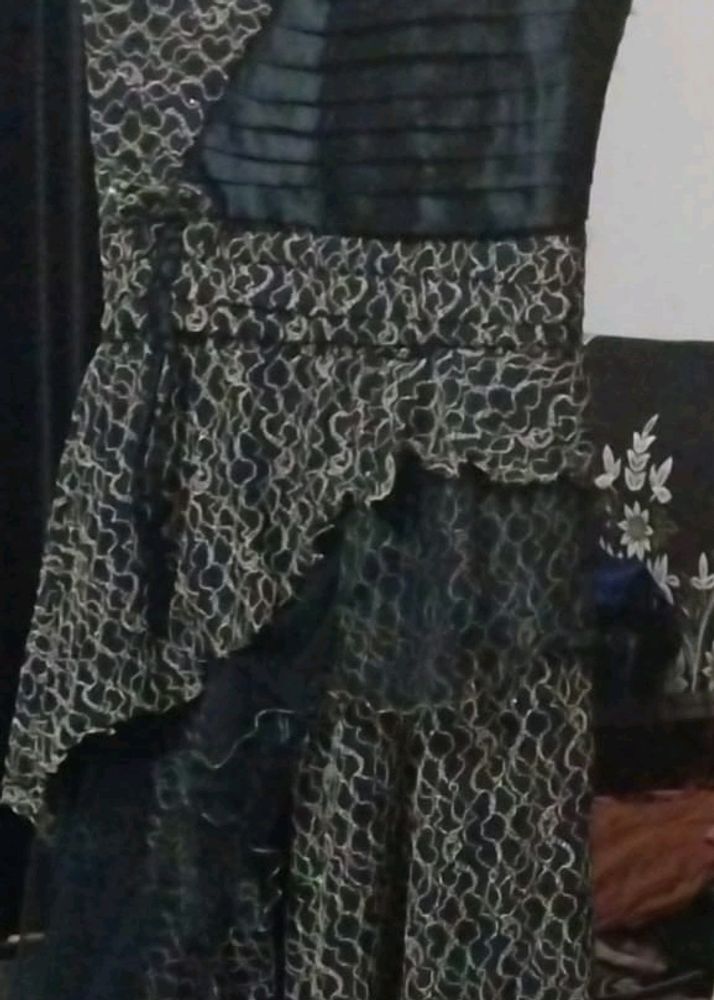 Net Fabric Flared Dress