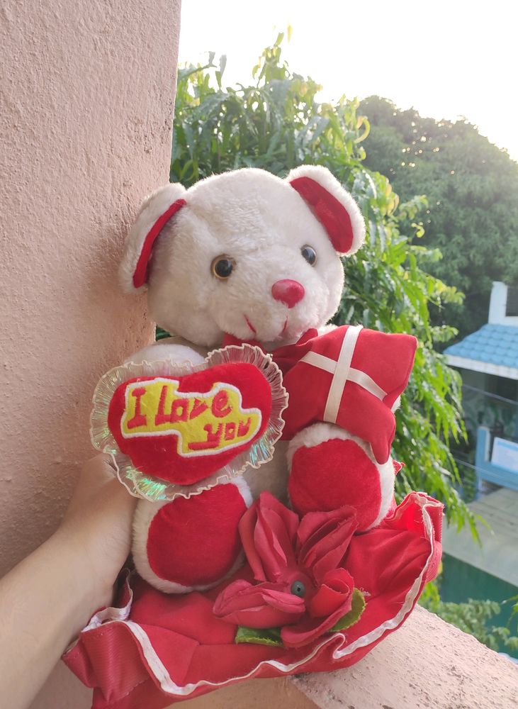 Lovely Teddy Bear 🧸