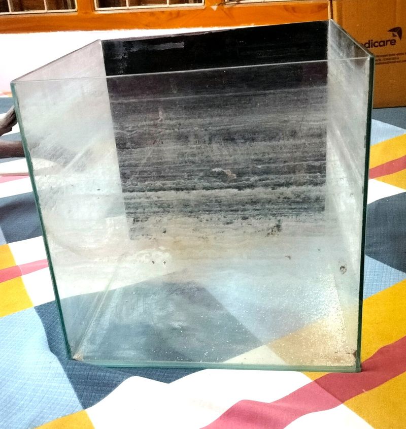 1 Feet Cube Glass Aquarium