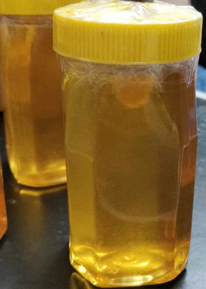 Moringa Honey (முருங்கை தேன்) - 500 Gm