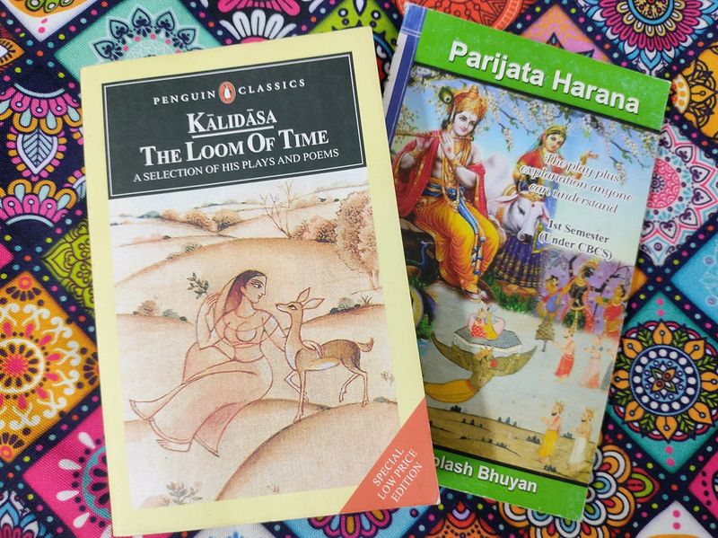 Indian Literature Novels 📚