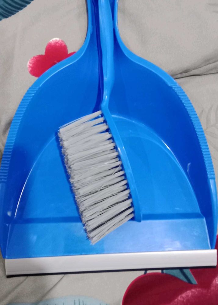 Dust Pan With Brush