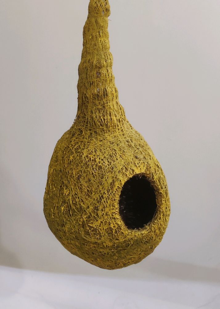 Artificial Bird Nest