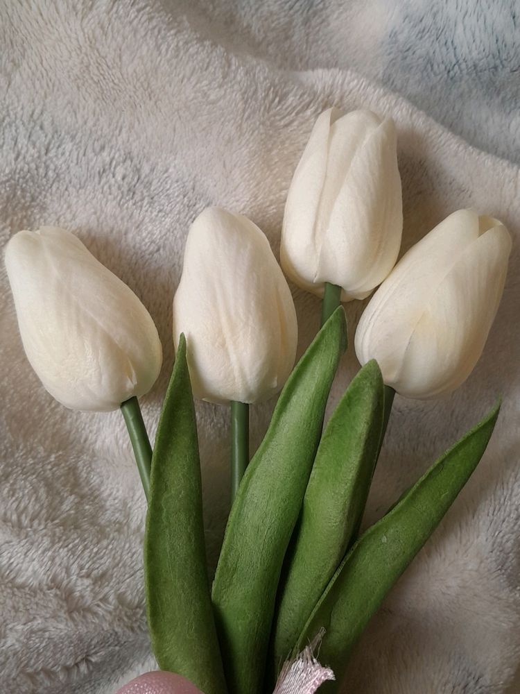 Aesthetic White Tulips Pack Of 4