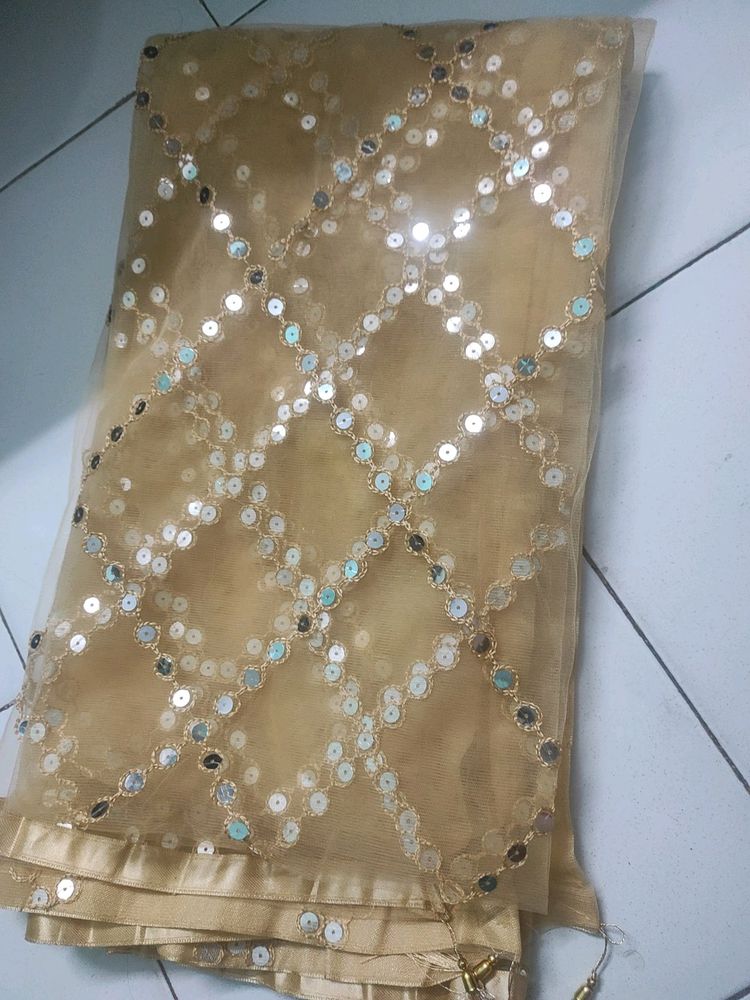 Beautiful Net Sequence Mirror Work Dupatta