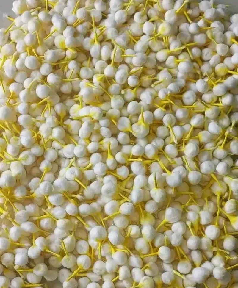 Homemade Cotton Wicks 1000pcs