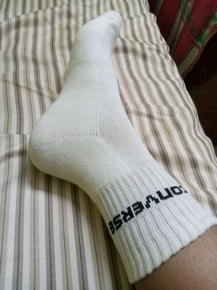 Socks Daily Wear