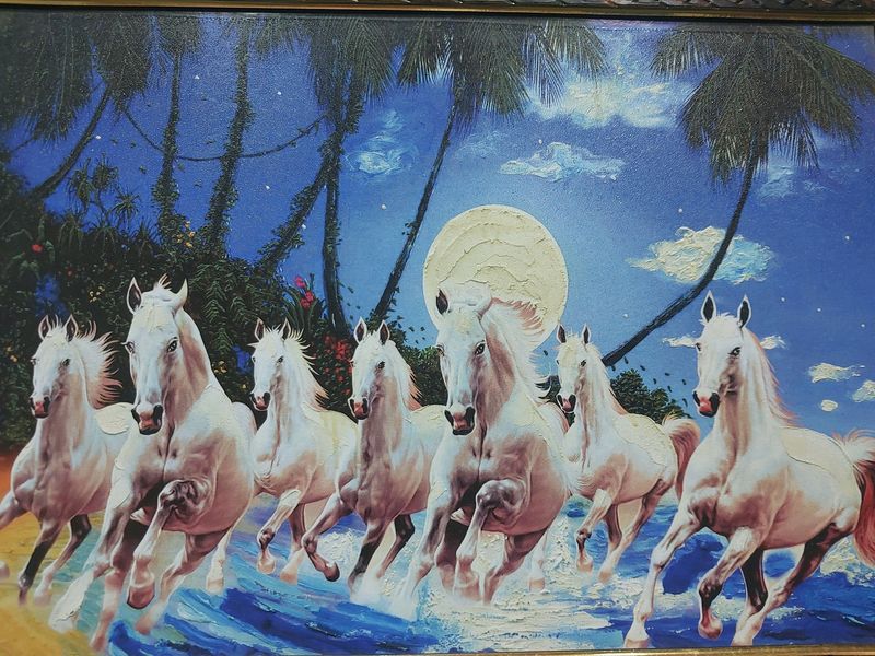 Price Drop For Today RUNNING 7 🐎 Horses Frame