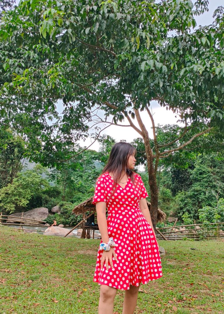 Red Polka Dot Dress